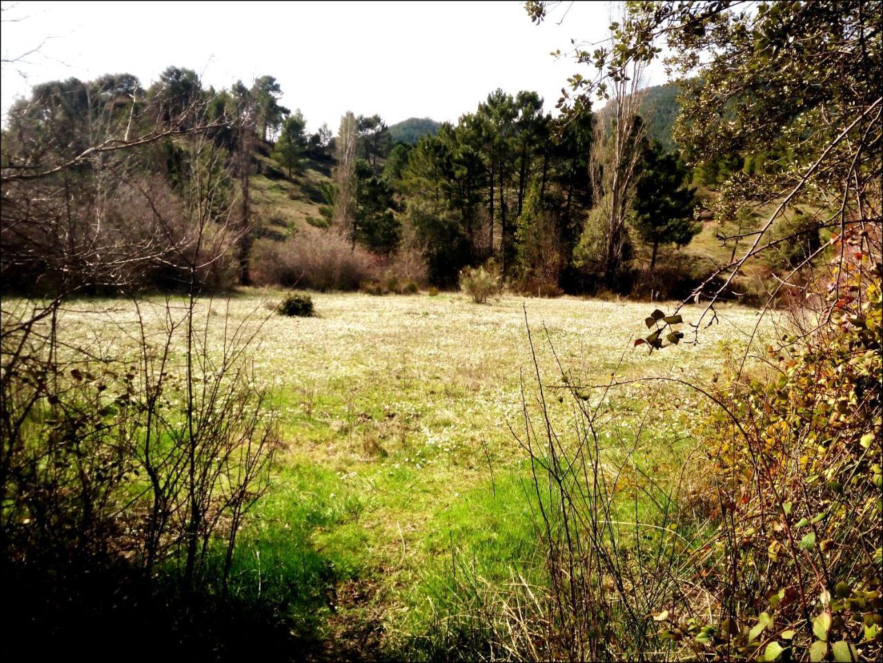 Casas Rurales Picos Del Oso Riópar Exterior foto