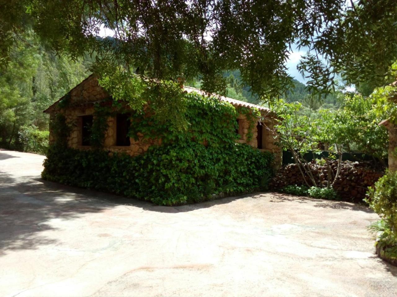 Gasthaus Casas Rurales Picos Del Oso Riópar Exterior foto